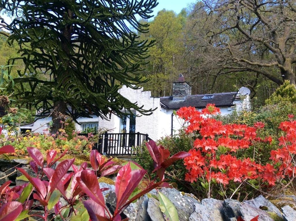 Dove Cot Country Holiday home